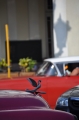 2013-10_CubaActive_B (2)